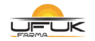 Upvita Synergy Vitamin B12 Sprey Takviye Edici Gıda Footer Logo